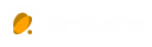 âmbar-e