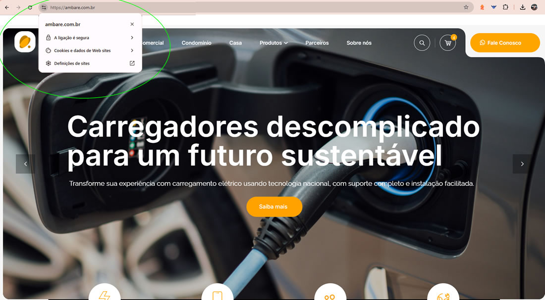 Segurança da Loja Virtual Ambare